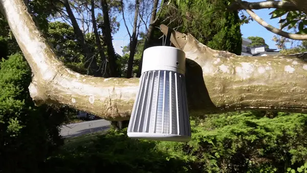 Zappify 2.0 Mosquito Zapper review